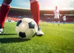 伯格尔未能,获得圆石滩,外卡,体育彩票,足彩,足球彩票,乐彩网,足彩比分直播,足球比分直播,乐彩网足球,彩票,彩票网,乐彩网,福利彩票